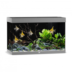 Rio 290 LED Grey
